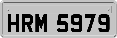 HRM5979