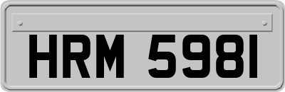 HRM5981