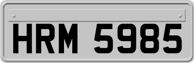 HRM5985