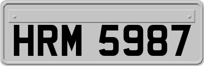 HRM5987