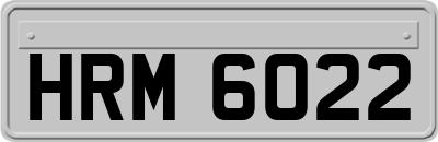 HRM6022