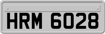 HRM6028