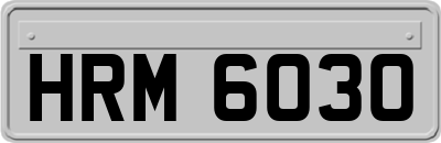 HRM6030