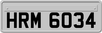 HRM6034