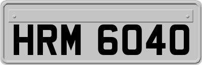 HRM6040