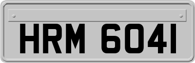 HRM6041