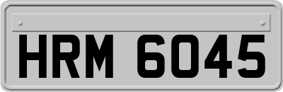 HRM6045