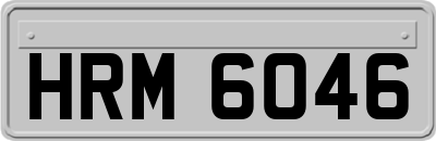 HRM6046
