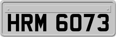 HRM6073