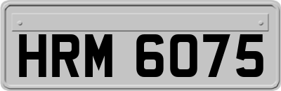HRM6075