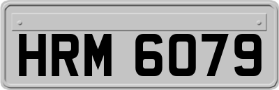 HRM6079