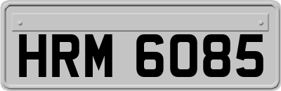 HRM6085