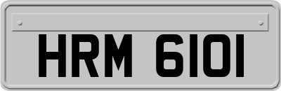 HRM6101