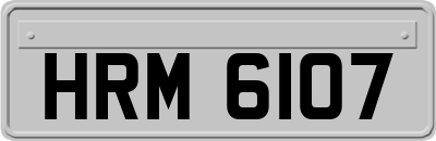 HRM6107