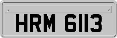 HRM6113