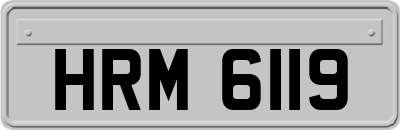 HRM6119
