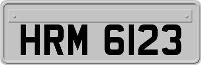 HRM6123