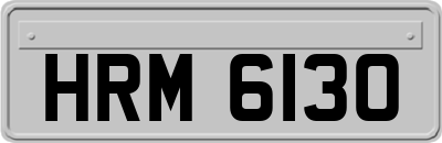 HRM6130