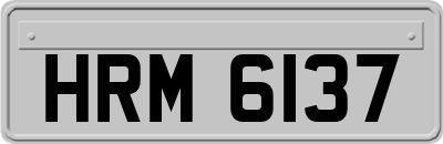 HRM6137