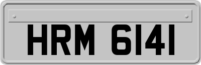 HRM6141