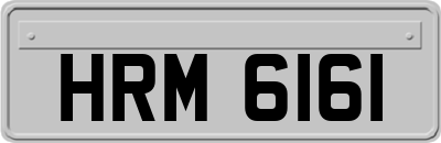 HRM6161
