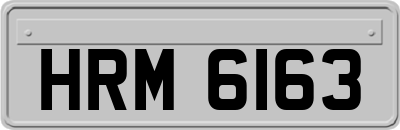 HRM6163