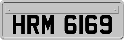 HRM6169