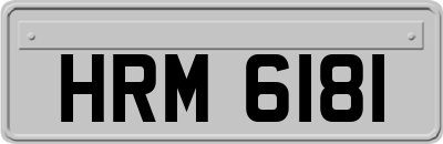 HRM6181