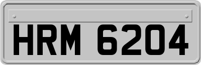 HRM6204