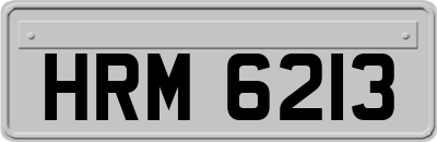 HRM6213