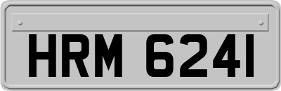 HRM6241