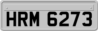 HRM6273