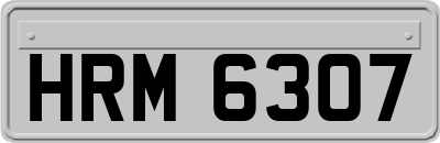 HRM6307