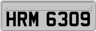 HRM6309