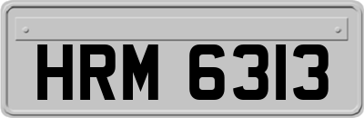HRM6313