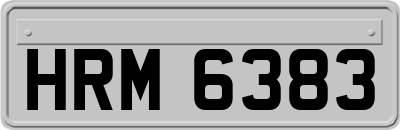 HRM6383