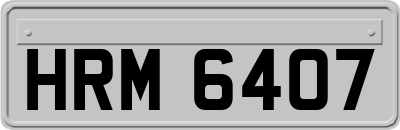 HRM6407