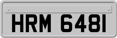 HRM6481