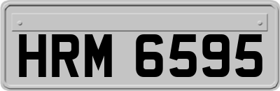 HRM6595