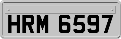 HRM6597