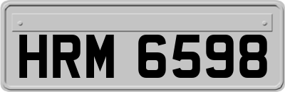 HRM6598