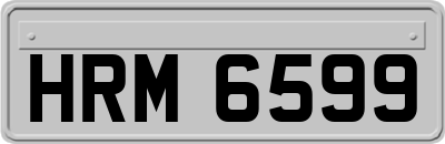 HRM6599
