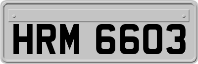 HRM6603