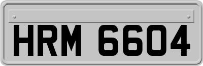 HRM6604