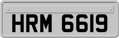 HRM6619
