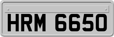 HRM6650