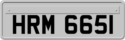 HRM6651