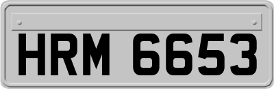 HRM6653