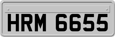 HRM6655