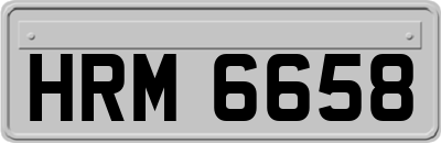HRM6658